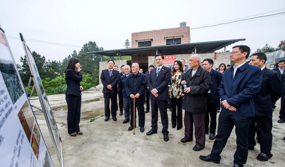 �ַ�ll(�й���)���޹�˾����