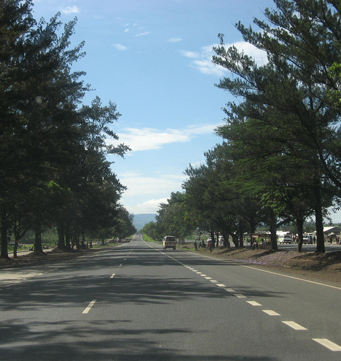 �ַ�ll(�й���)���޹�˾����