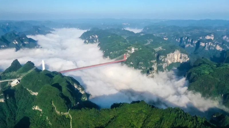 20220525764459.jpg 35.jpg