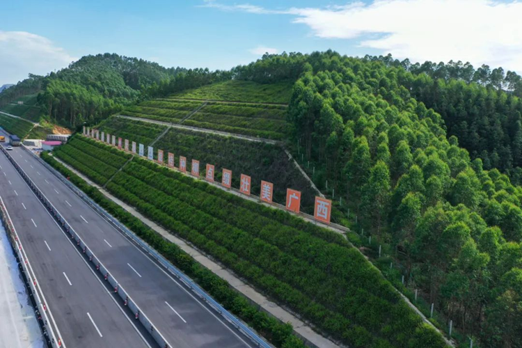 ������ʩ��_���� (1).png