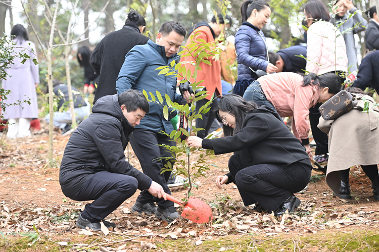 DSC_7514_���� (1).jpg