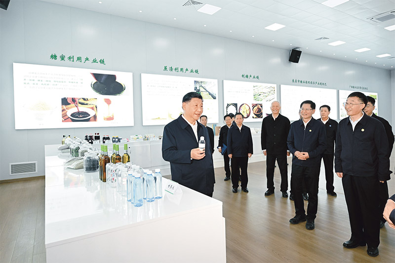 �ַ�ll(�й���)���޹�˾����