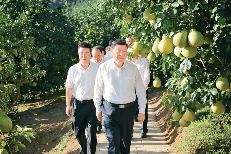 �ַ�ll(�й���)���޹�˾����